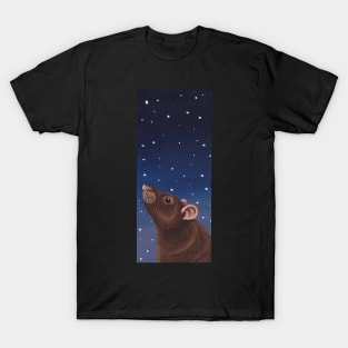 Agouti Brown Rat Stargazing T-Shirt